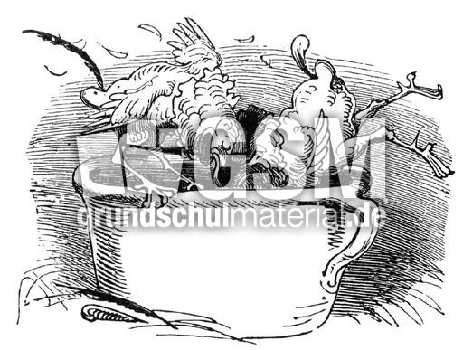 Hahnenkampf sw 10.jpg